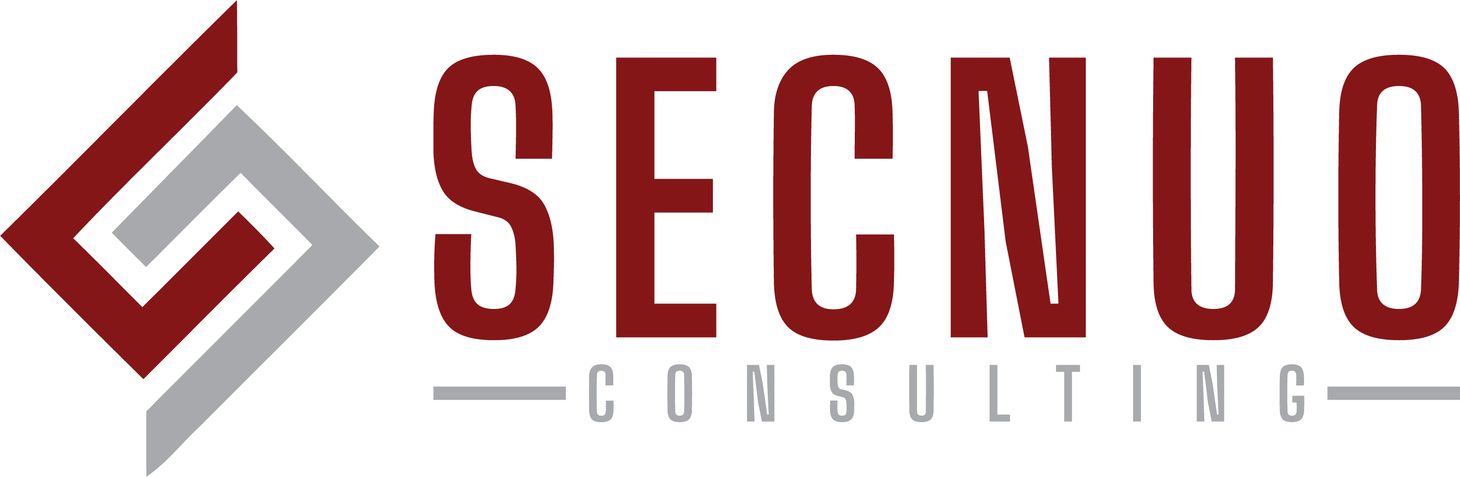 Secnuo Consulting | Cyber Security Services
